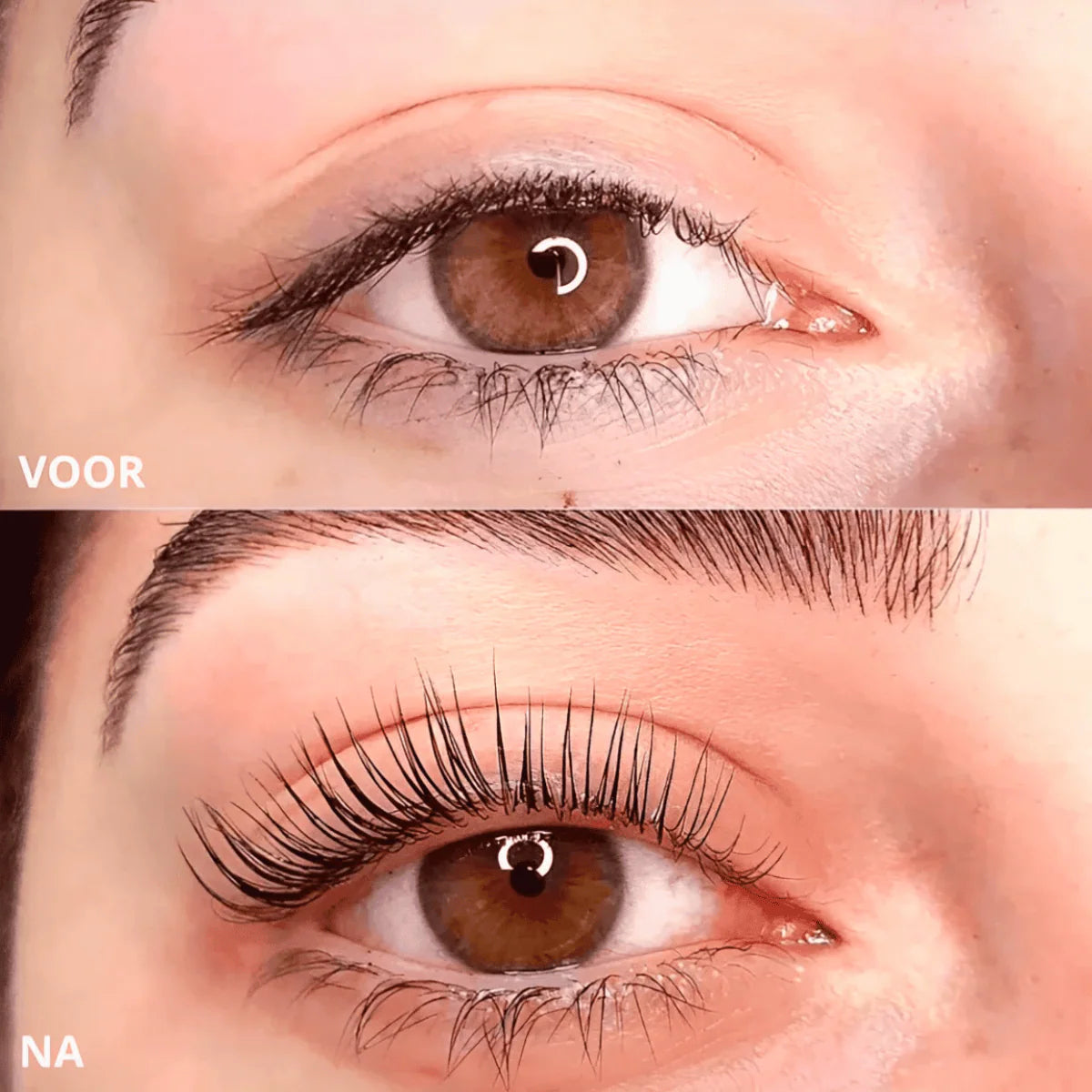 PERFECTCURL WIMPERNZANGE